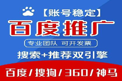 SEM服务案例：助力企业拓展海外市场
